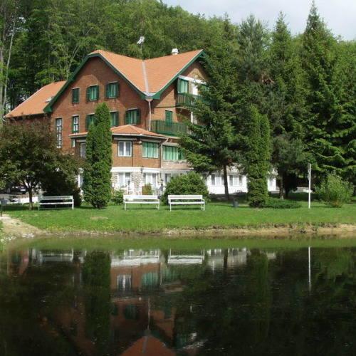 Repashuta Sebesviz Panzio Bed & Breakfast エクステリア 写真