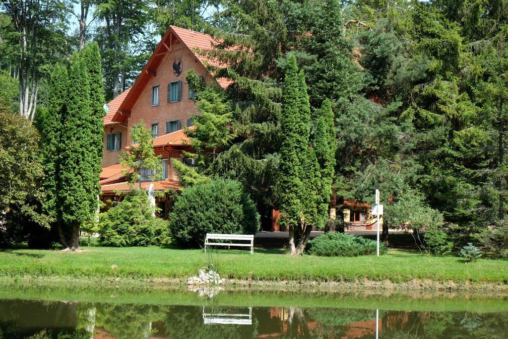 Repashuta Sebesviz Panzio Bed & Breakfast エクステリア 写真